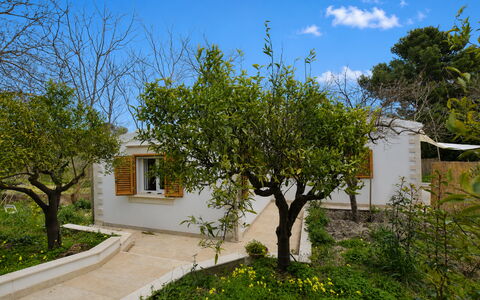 La Dimora di Diana: Arbusto, Giardino, Villetta, Shade, Backyard, Cortile, Landscaping, Hacienda, Agriturismo