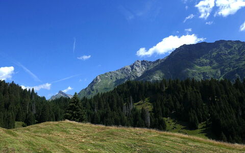 Nido delle Alpi: Cielo, Montagna, Blu, Geografia Montane, Verde, Natura, Ambiente Naturale, Collina, Paesaggio Naturale, Nube