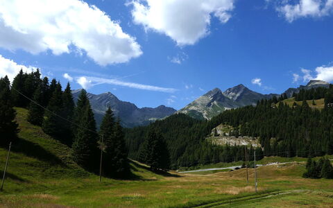 Nido delle Alpi: Cielo, Montagna, Geografia Montane, Erba, Natura, Verde, Collina, Ambiente Naturale, Paesaggio Naturale