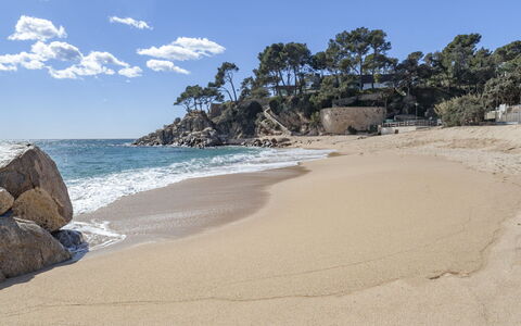Xaloc: Costa, Spiaggia, Sabbia, Riva, Costiera E Morfologie Oceanic, Mare, Onda, Wind Wave, Oceano, Tropici