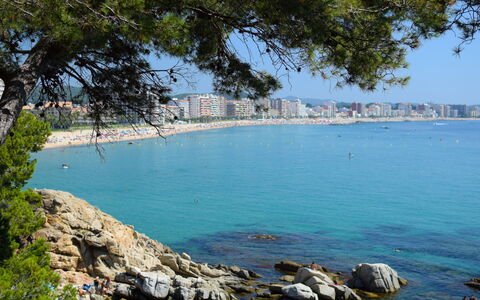 Clara: Blu, Costa, Corpo D'Acqua, Spiaggia, Costiera E Morfologie Oceanic, Mare, Riva, Oceano, Baia, Promontorio