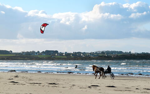 Le Jardin du Calme: Spiaggia, Ricreazione, Mare, Costa, Costiera E Morfologie Oceanic, Wind Wave, Oceano