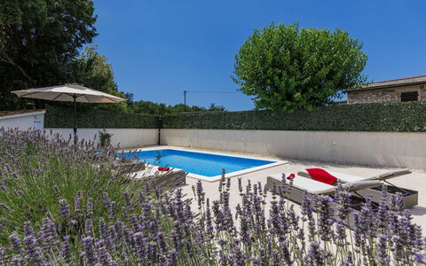 Trošti: Arbusto, Giardino, Piscina, Landscaping, Vaso Di Fiori, Backyard, Cortile, Mobili Da Esterno, Cortile