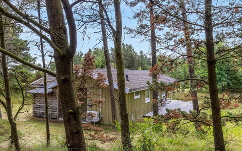 Iivo - 3.5Km from the Sea: Albero, Ambiente Naturale, Legna, Ramo, Vegetazione, Casa, Villetta, Arbusto, Casa, Comunita 'Impianto