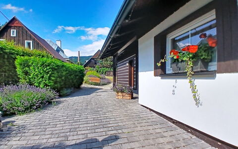 Cerny Dul 400: Casa, Arbusto, Architettura, Casa, Villetta, Groundcover, Giardino, Flagstone, Porta