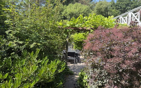 Lonneke - from the Sea: Arbusto, Comunita 'Impianto, Giardino, Woody Impianto, Landscaping, Backyard, Giardino Botanico, Sempreverde, Mobili Da Esterno