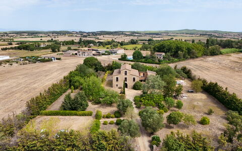 Mas Nualart: Erba, Albero, Paesaggio, Plain, Area Rurale, Lotto, Pascolo, Campo