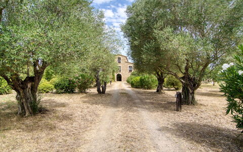Mas Nualart: Albero, Arbusto, Estate, Landscaping, Driveway, Trail, Piantagione, Hacienda