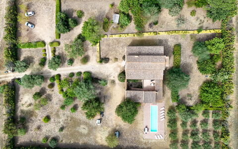 Mas Nualart: Arbusto, Paesaggio, Lotto, Casa, Estate, Area Rurale, Giardino, Villetta, Piantagione, Landscaping
