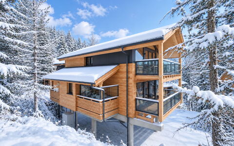 02 Nth055 18F Sup Chalet mit Sauna und Hot Tub 2 e: Inverno, Villetta, Balcone, Neve, Congelamento, Log Cabin, Illuminazione Diurna, Raccordo, Corrimano