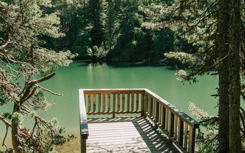 02 Nth030 Sup Chalet mit Sauna und Hot Tub 2 Etage: Natura, Albero, Ambiente Naturale, Legna, Foresta, Natura Selvaggia, Tronco, Riserva Naturale, Woodland
