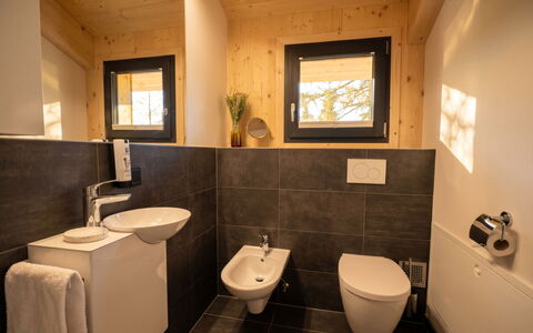 02 Nth056 18G Sup Chalet mit Sauna und Hot Tub 2 e: Parete, Pavimentazione, Legna, Idraulico Fixture, Bagno, Pavimento, Interior Design, Lavello, Gabinetto, Toilet Seat