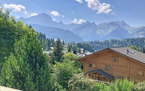 Chalet 1899: Geografia Montane, Albero, Montagna, Collina, Catena Montuosa, Highland, Casa, Hill Station, Valle, Villetta
