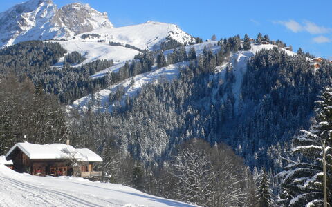 Chalet 1899: Neve, Geografia Montane, Montagna, Albero, Inverno, Catena Montuosa, Highland, Collina, Hill Station, Paesaggio