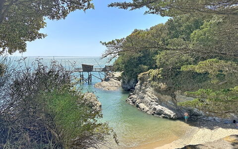 Les Sylphes: Acqua, Corpo D'Acqua, Costiera E Morfologie Oceanic, Costa, Riva, Mare, Lago, Tropici, Oceano, Baia