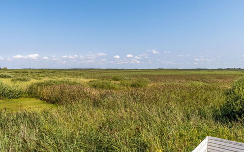 Scarlet - 500M from the Sea: Cielo, Erba, Verde, Pascolo, Ambiente Naturale, Vegetazione, Ecoregione, Paesaggio Naturale, Plain, Prateria
