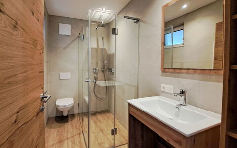 Auffach 602: Pavimentazione, Legna, Pavimento, Interior Design, Idraulico Fixture, Bagno, Camera, Idraulico, Soffitto, Pavimento In Legno