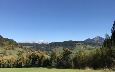 Auffach 602: Montagna, Geografia Montane, Collina, Erba, Albero, Verde, Natura, Catena Montuosa, Paesaggio Naturale, Vegetazione
