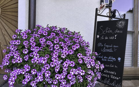 Des Kaisers Kleines Reich: Fiore, Vaso Di Fiori, Rosa, Groundcover, Pianta Fiorita, Giardino, Pianta Della Casa, Fiorai, Pianta Erbacea