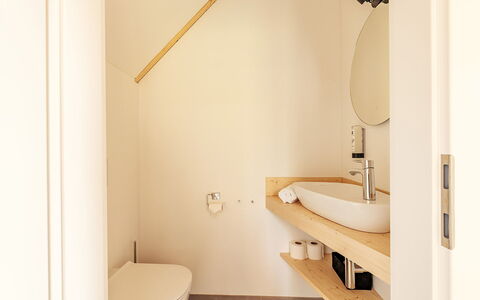Niederwölz 602: Pavimentazione, Parete, Interior Design, Bagno, Idraulico Fixture, Pavimento, Legna, Soffitto, Rubinetto, Idraulico
