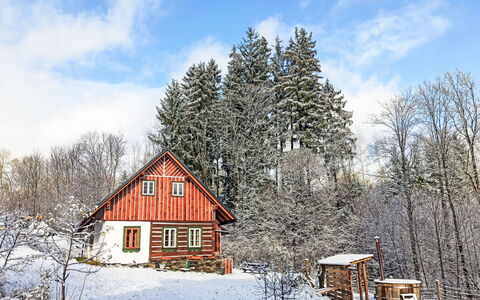 U Kazíků: Albero, Casa, Legna, Casa, Villetta, Inverno, Tetto, Neve, Area Rurale, Congelamento