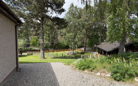 Glencarr: Albero, Arbusto, Casa, Casa, Villetta, Giardino, Lotto, Groundcover, Backyard
