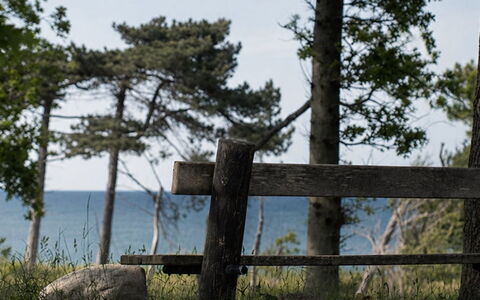 Bine - 200M from the Sea: Legna, Paesaggio Naturale, Recinzione, Costiera E Morfologie Oceanic, Tronco, Costa, Mare, Oceano, Riva