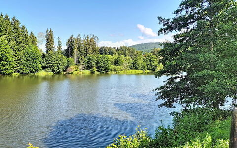 Klaffer am Hochficht 1: Risorse Idriche, Acqua, Corpo D'Acqua, Albero, Verde, Natura, Ambiente Naturale, Paesaggio Naturale, Alveo, Banca