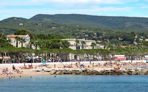 Les Terrasses des Hautsdefonsainte: Costa, Costiera E Morfologie Oceanic, Spiaggia, Riva, Mare, Ricreazione, Tempo Libero, Vacanza, Oceano