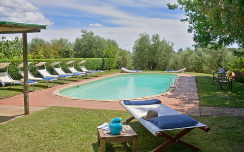 Villa Gioli: Piscina, Mobili Da Esterno, Mobilia, Ricorrere, Estate, Shade, Giardino, Lettino, Landscaping, Hacienda