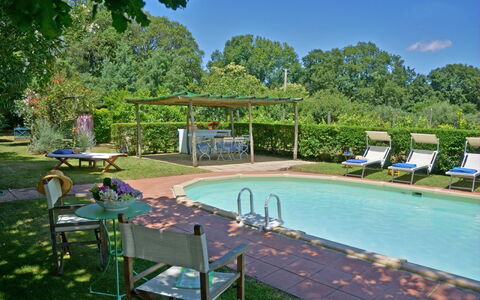 Villa Gioli: Piscina, Mobilia, Mobili Da Esterno, Arbusto, Ricorrere, Giardino, Shade, Sedia, Backyard, Hacienda