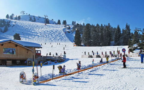 Eberharter am Schweinberg: Albero, Neve, Inverno, Ricreazione, Piste, Hill Station, Congelamento, Pendenza, Geomorfologia Glaciale