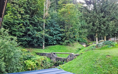 Sára: Erba, Verde, Foglia, Vegetazione, Arbusto, Giardino, Groundcover, Landscaping, Prato