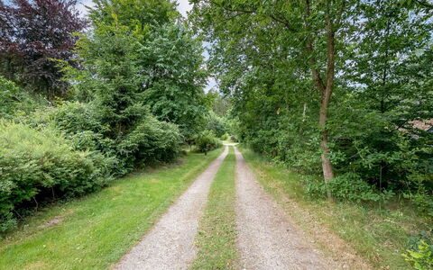 Matthea - 2.9Km from the Sea: Albero, Foglia, Verde, Erba, Vegetazione, Strada, Paesaggio Naturale, Arbusto, Trail, Strada Transitabile