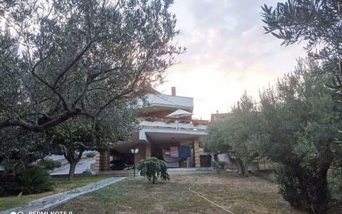 La Terrazza di Colle Marino: Albero, Hacienda, Cortile, Landscaping