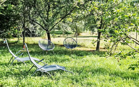 Il Pozzo dei Desideri: Verde, Erba, Giardino, Prato, Groundcover, Primavera, Tronco, Luce Del Sole, Parco