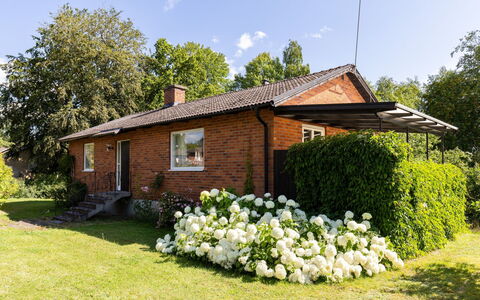 Villa Fröseke: Erba, Casa, Arbusto, Tetto, Villetta, Giardino, Casa, Lotto, Prato