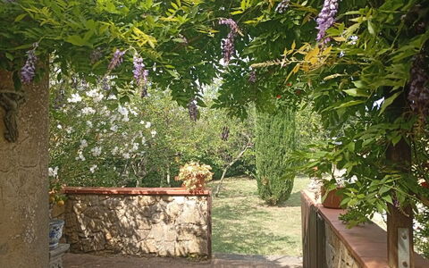 Podere Dolce Sonno e Sonnellino: Arbusto, Giardino, Primavera, Groundcover, Shade, Cortile, Backyard, Landscaping, Struttura Esterna, Pergola