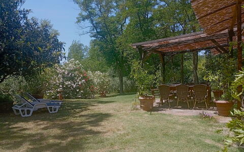 Podere Dolce Sonno e Sonnellino: Arbusto, Mobilia, Giardino, Shade, Backyard, Prato, Sedia, Mobili Da Esterno, Struttura Esterna