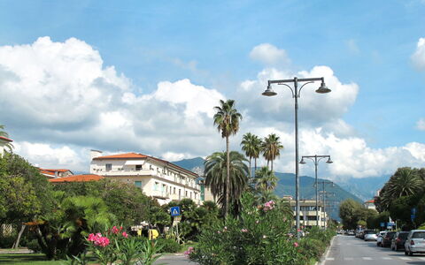 Marina di Massa 651: Cielo, Albero, Nube, Strada Transitabile, Street Luce, Cumulo