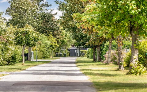 Ulli - 350M from the Sea: Albero, Foglia, Verde, Ramo, Manto Stradale, Arbusto, Paesaggio, Primavera, Strada Transitabile, Giardino