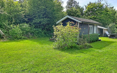 Lötstugan: Erba, Arbusto, Giardino, Prato, Pascolo, Villetta, Lotto, Groundcover