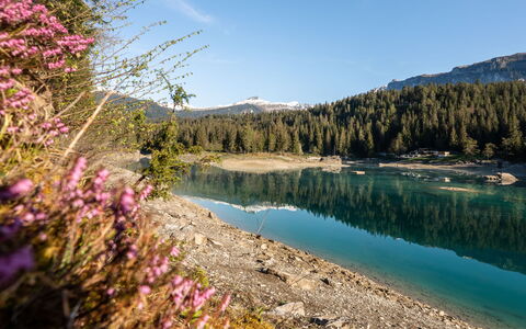 Collina 5I-02: Acqua, Corpo D'Acqua, Risorse Idriche, Natura, Montagna, Banca, Highland, Tarn, Lago, Natura Selvaggia