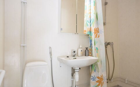 Heinävesi Homes D2: Lavandino Del Bagno, Bagno, Idraulico Fixture, Parete, Lavello, Interior Design, Gabinetto, Pavimento, Rubinetto, Idraulico