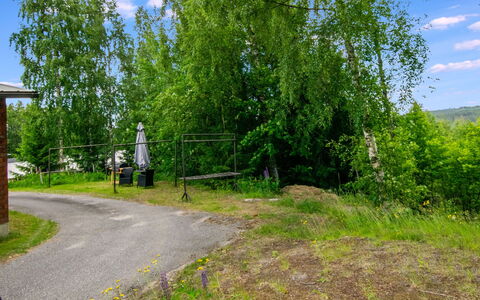 Heinävesi Homes D5: Erba, Albero, Verde, Vegetazione, Arbusto, Lotto, Area Rurale, Primavera, Prato, Trail