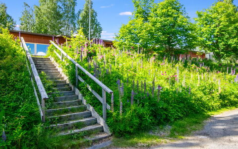 Heinävesi Homes D5: Verde, Vegetazione, Arbusto, Comunita 'Impianto, Giardino, Primavera, Wildflower, Landscaping, Giardino Botanico, Passerella