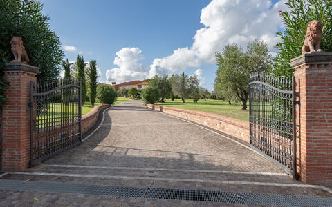 Villa Gabri 8: Brick, Muratura, Driveway, Giardino, Estate, Cancello, Landscaping, Passerella, Recinzione, Sentiero