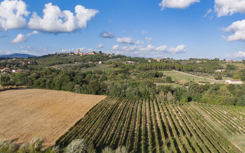 Villa Gabri 8: Area Rurale, Paesaggio, Campo, Agricoltura, Lotto, Plain, Piantagione, Hill Station, Prato, Azienda Agricola