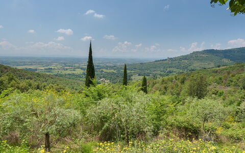Le Volpaie 6+1: Ambiente Naturale, Foglia, Vegetazione, Paesaggio Naturale, Collina, Ecoregione, Arbusto, Comunita 'Impianto, Highland, Paesaggio