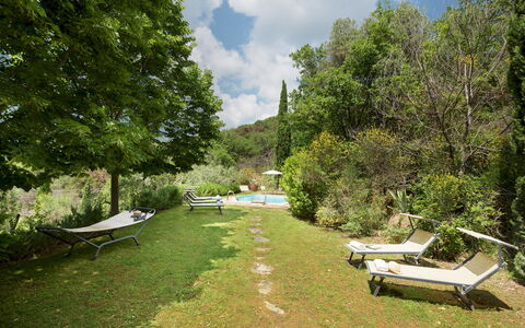 Le Volpaie 6+1: Vegetazione, Arbusto, Paesaggio, Giardino, Mobili Da Esterno, Shade, Landscaping, Eco Hotel, Backyard, Prato